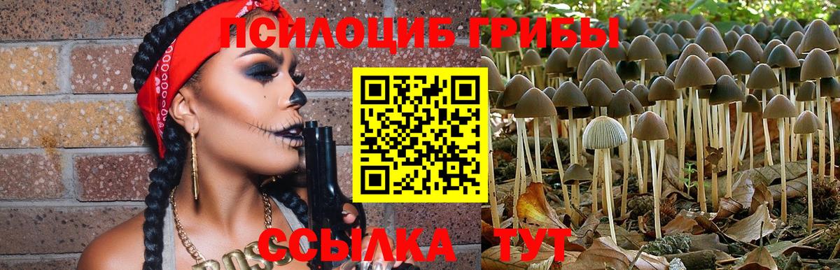 Псилоцибиновые грибы Magic Shrooms Волжский