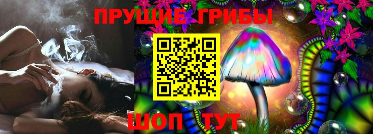 как найти наркотики  Вход с VPN  Псилоцибиновые грибы MAGIC MUSHROOMS  Волжский  Галлюциногенные грибы ЛСД 